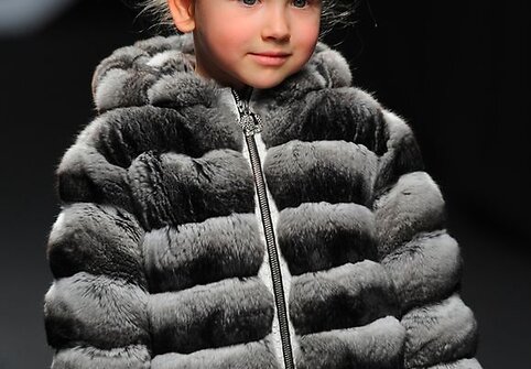 Kolekcijos modelis