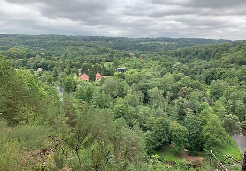 R.&Scaron;irvinsko diena &ndash; naujame amplua 