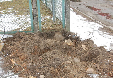 Vėtra Tel&scaron;iuose