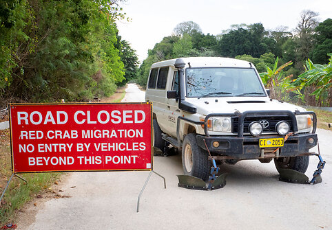 Krabus saugantis „Toyota Land Cruiser“