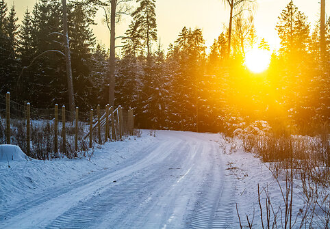„Biorina Winter Rally Rokiškis 2026“ greičio ruožų vaizdai