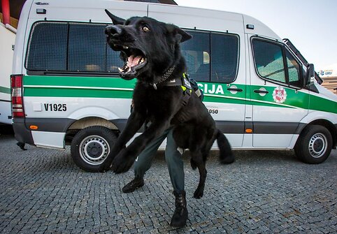 Policijos šventė Vilniuje, prie PC „Ozas“