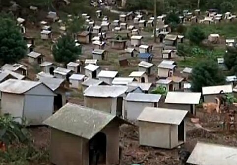 &Scaron;uni&scaron;ka favela ir jos gyventojai