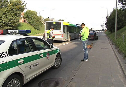 Ukmergės g. į kelią išbėgo stirna