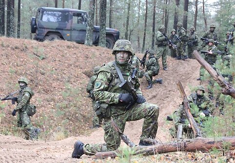 Estų kariai pratybose &bdquo;Stiprus ulonas 2013&rdquo;