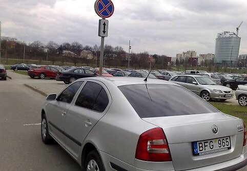 Škoda tamsintais langais.