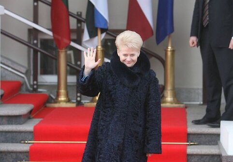 Dalia Grybauskaitė priėmė Estijos prezidentą Toomą Hendriką Ilvesą ir Latvijos prezidentą Valdį Zatlerį.