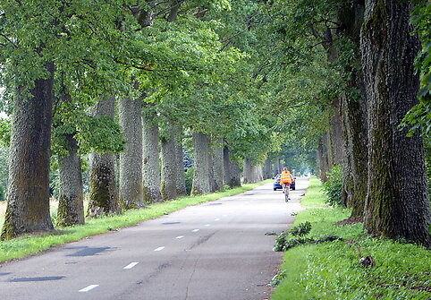 Smalininkuose