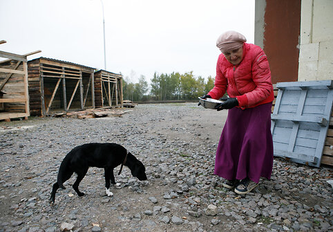 Senjorė Ina