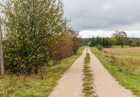 Ąžuolo gatvė Pypliuose