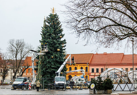 Kaune puošiama Kalėdų eglė