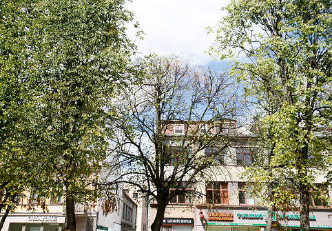 Laisvės alėjos rekonstrukcija