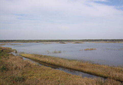 Novaraistis