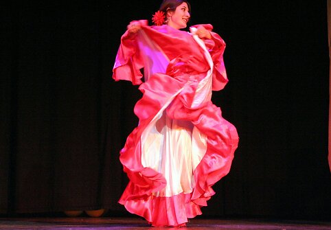 Romų &scaron;okiai &ndash; Aliona