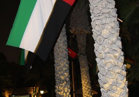 Jungtinių Arabų Emyratų vėliavos naktinio Dubajaus gatvėse