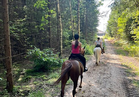 Dovilė Juočiūnaitė meilę žirgams jautė nuo vaikystės, o pameistrystė praplėtė žinias. &Scaron;iandien ji dirba žirgyne. 
