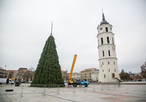 Vilniuje jau pradėta puo&scaron;ti Kalėdų eglė