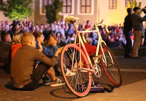Krep&scaron;inio sirgaliai Rotu&scaron;ės aik&scaron;tėje