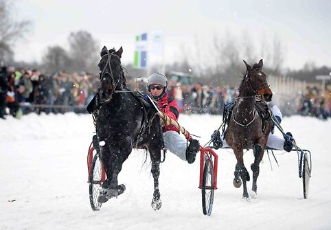 „Sartai 2011“ žirgų lenktynių akimirka