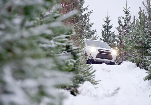 &bdquo;Subaru Forester&ldquo; bandymai sniego nuklotoje Suomijoje