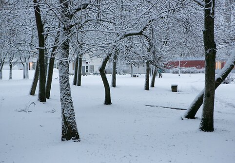 Sniegas užpylė Vilnių