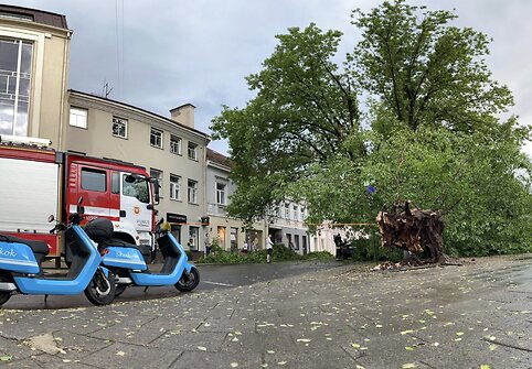 Vilniuje, Rūdninkų g., žaibas trenkė į medį
