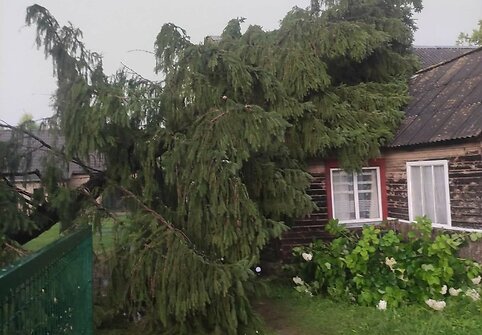 Per audrą stipriai nukentėjo Kernavės archeologinė vietovė