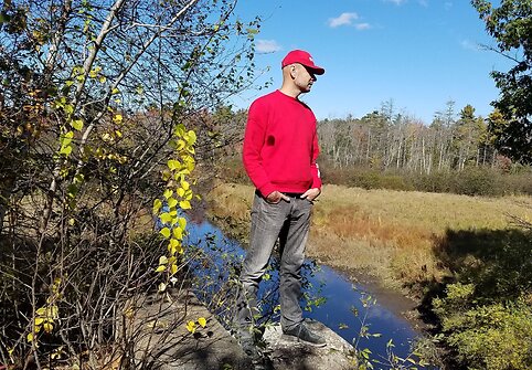 Auksinis pernyk&scaron;tis ruduo Meine