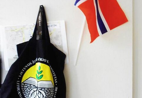 Giedrė Giedraitytė Norvegijoje