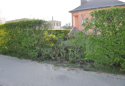 Avarija Tel&scaron;iuose
