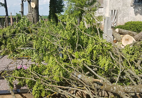 Vaizdai i&scaron; Siesikų kapinių