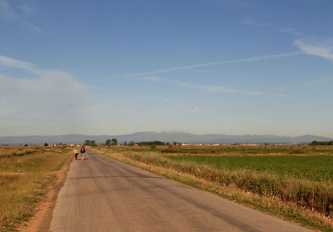 1. Meseta &ndash; Kelio dykuma