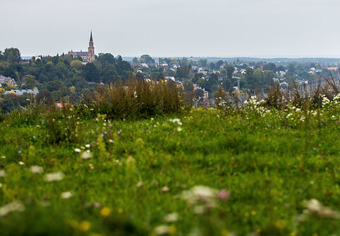 Rokanti&scaron;kių piliavietė