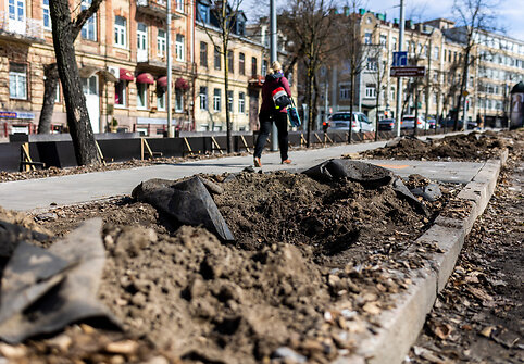 Pernai pasodinti medžiai Vilniaus centre kažkodėl jau i&scaron;rauti