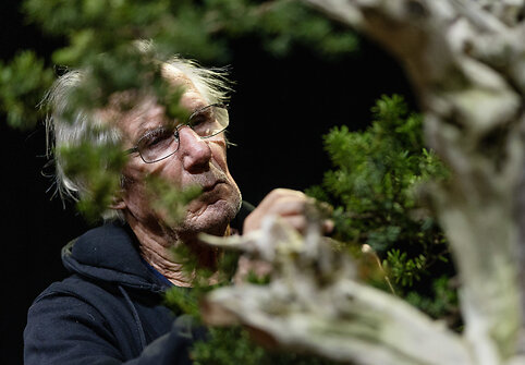 Europos ir pasaulio bonsai &ndash; meistrų parodomoji demonstracija