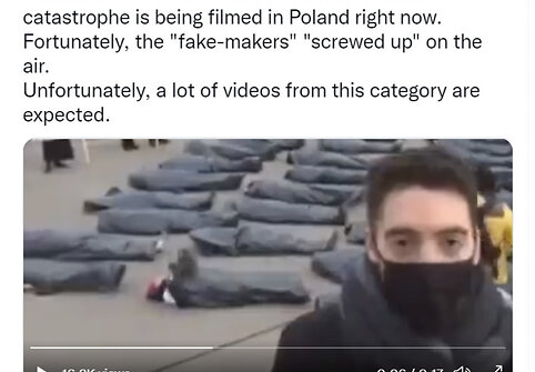 Protestas prieš klimato politiką įkvėpė jau ne vieną melagieną