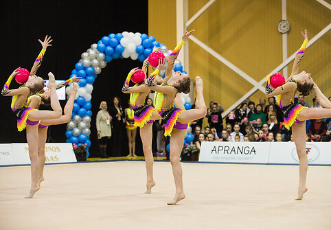 Meninės gimnastikos turnyras