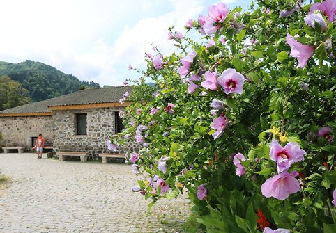 Gonio (Apsaros) tvirtovė