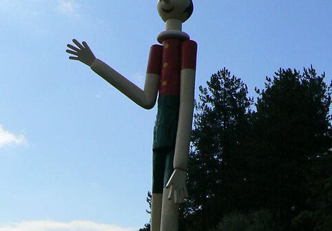 Collodi