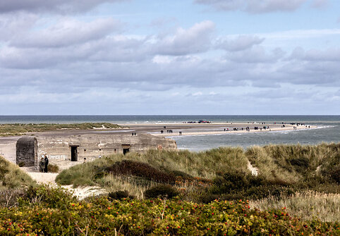 Bunkeriai Skagene