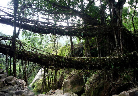 Double decker tiltas Meghalaya regione