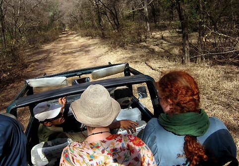GIR liūtų safaris Indijoje