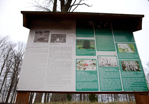 Kiemelių rekreacinis takas