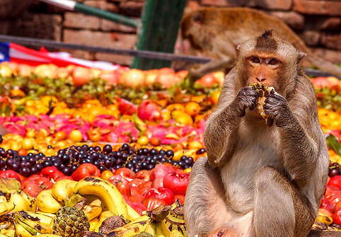 Monkey Buffet festivalis Singapūre