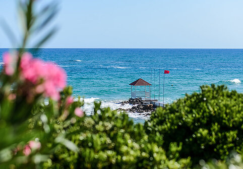 Alexander Beach