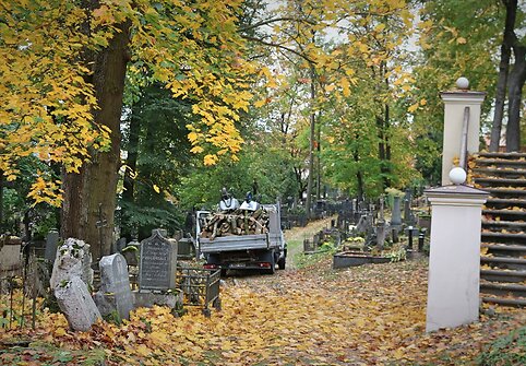 Bernardinų kapinėse kertami medžiai