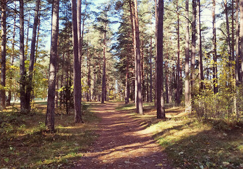 Ignalina