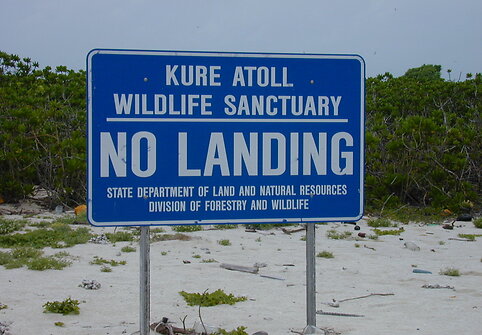 Kurės atolas