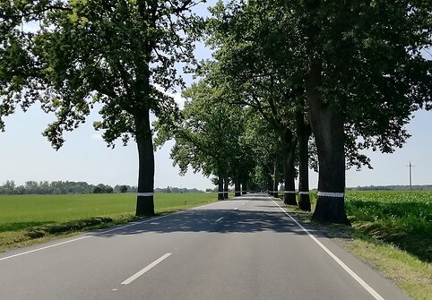 Kelionė į Kaliningradą