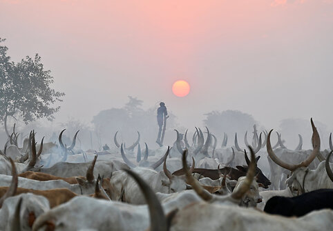 Mundari genties stovykla